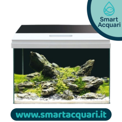 Amtra modern tank 50