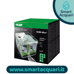 Newa More 50
